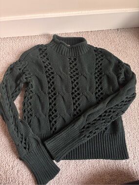 Express Dark Green Cable Knit Turtleneck Sweater
